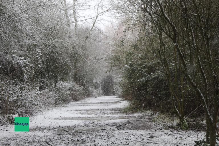 Paxton Pits Snow #3