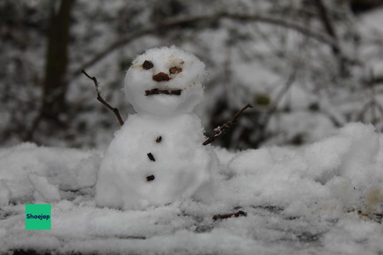 Paxton Pits Snow #6