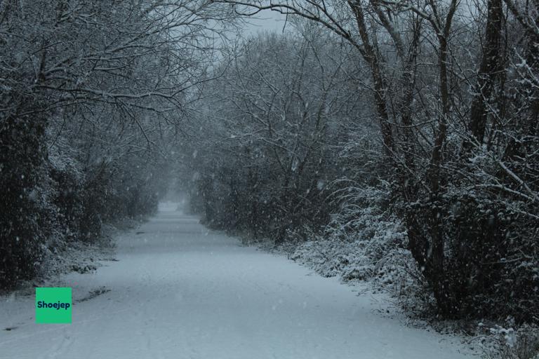 Paxton Pits Snow #9