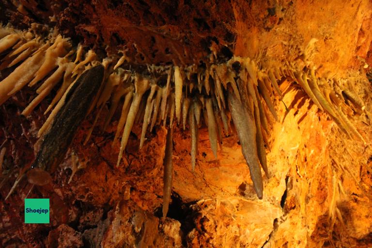 Caves de Genova