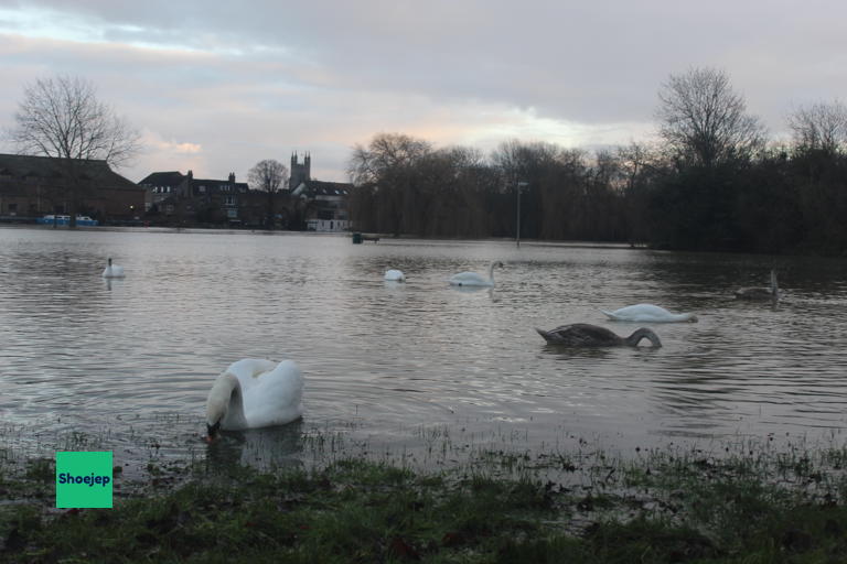 St. Neots Flooding January 2024 #10