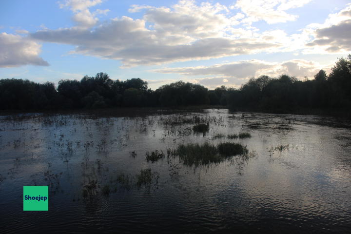 St. Neots Flooding September 2024 #7