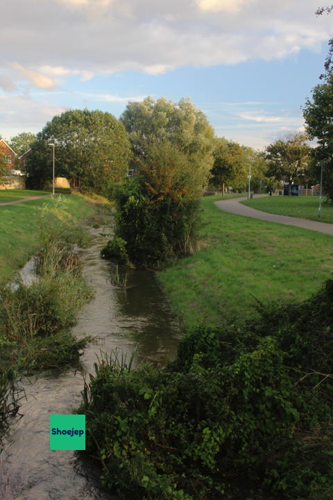 St. Neots Flooding September 2024 #14