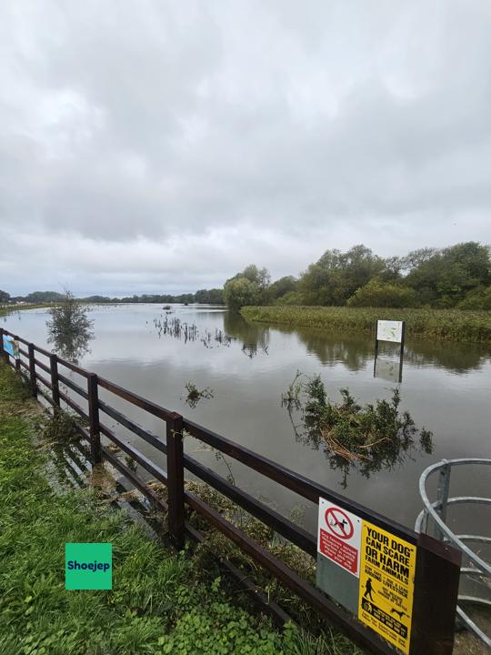 St. Neots Flooding October 2024 #8