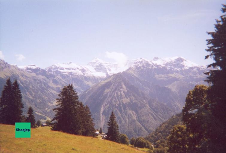 Switzerland 2004 #5