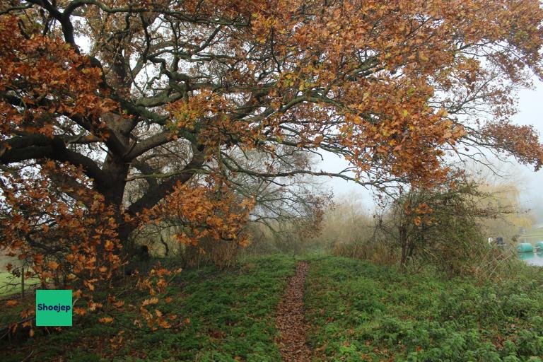 River Ouse Walk #15