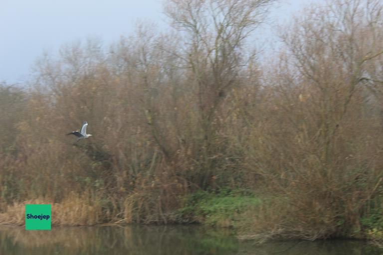 River Ouse Walk #16