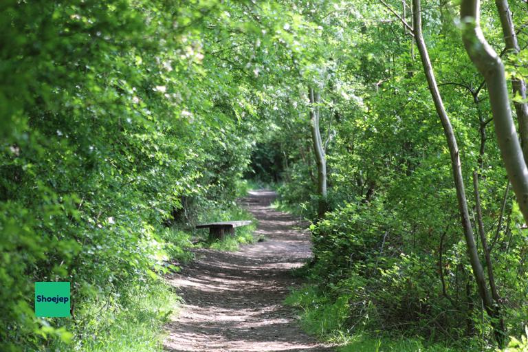 River Ouse Walk #3