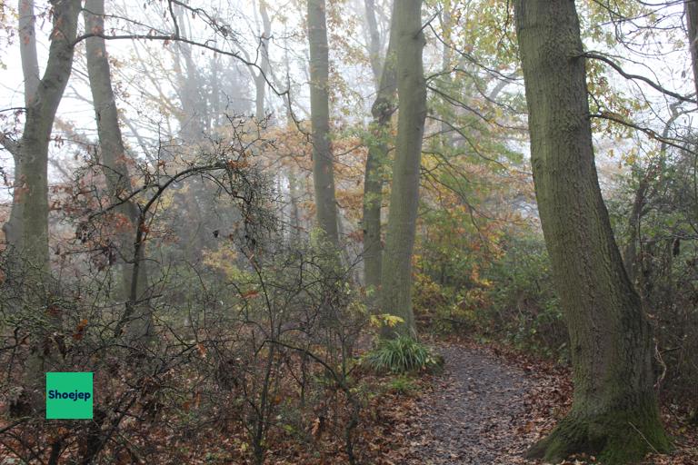 River Ouse Walk #12