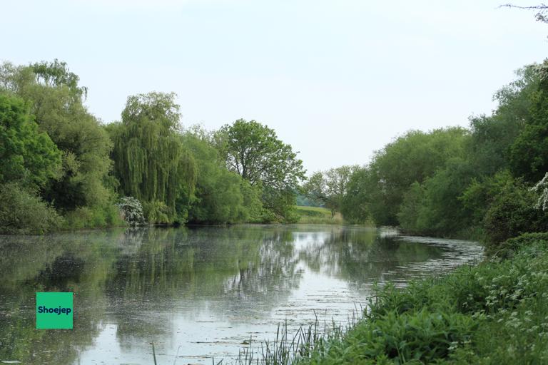 River Ouse Walk #9