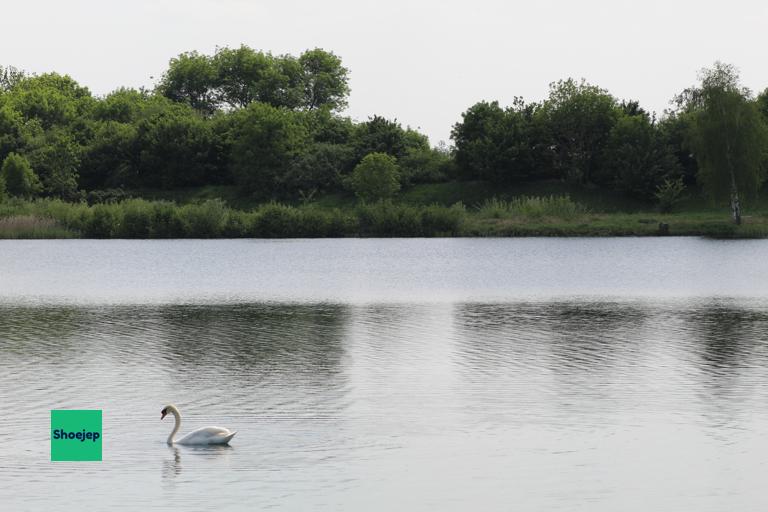 River Ouse Walk #2